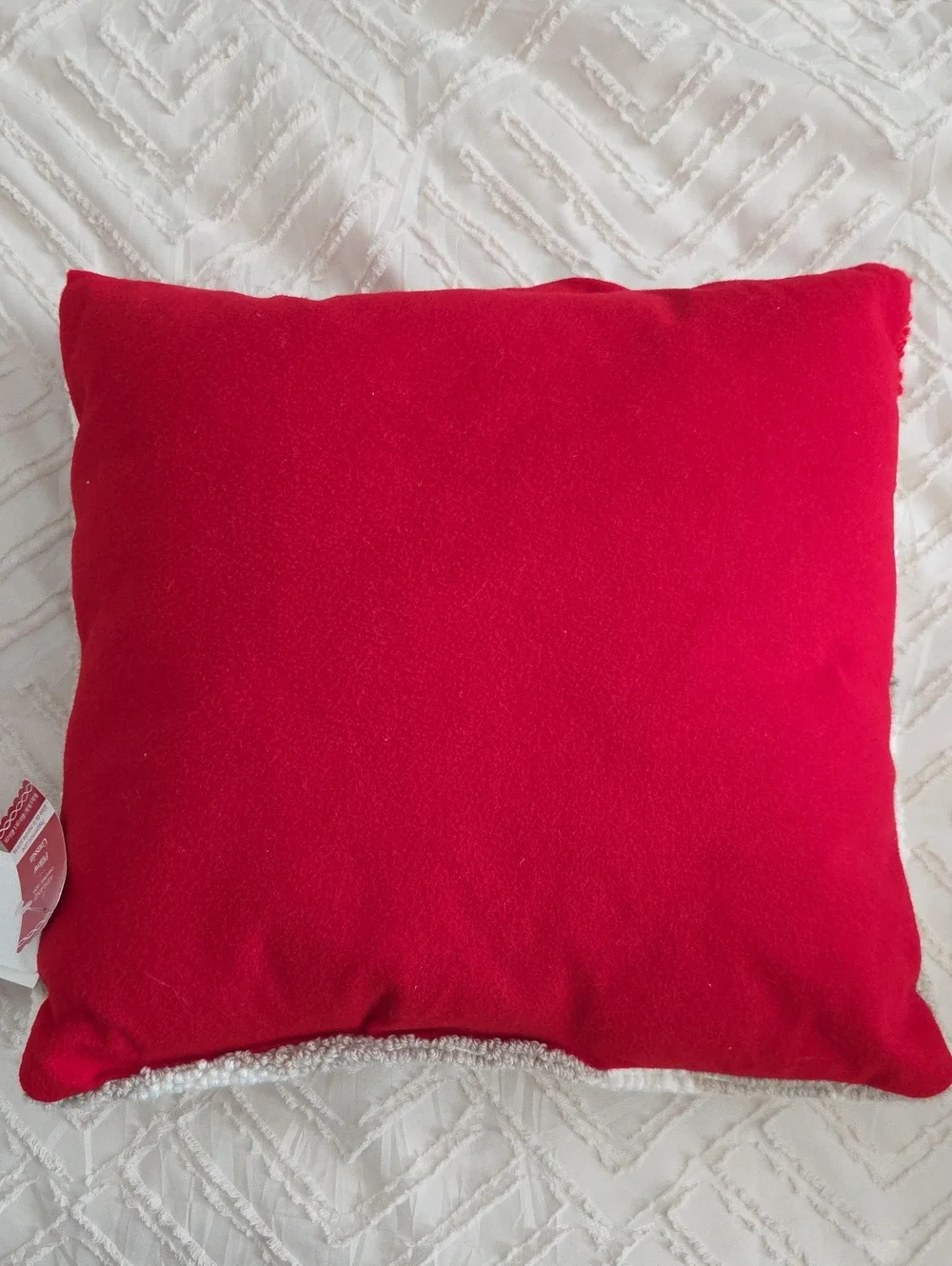Ashland | Santa Face Pillow